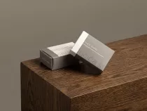 Smart line shoe polish in a box
