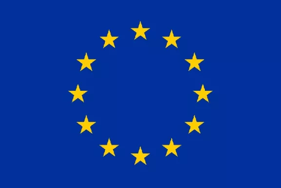 Bandiera C.E.E. 100x150cm